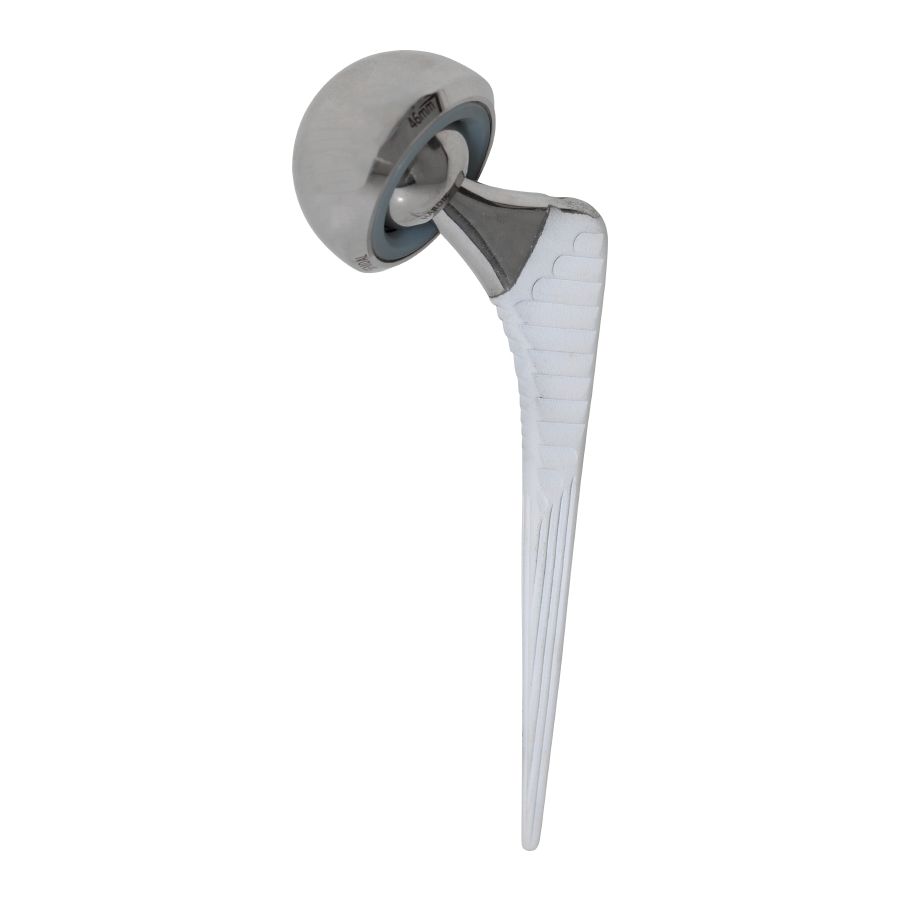 Uncemented Stem