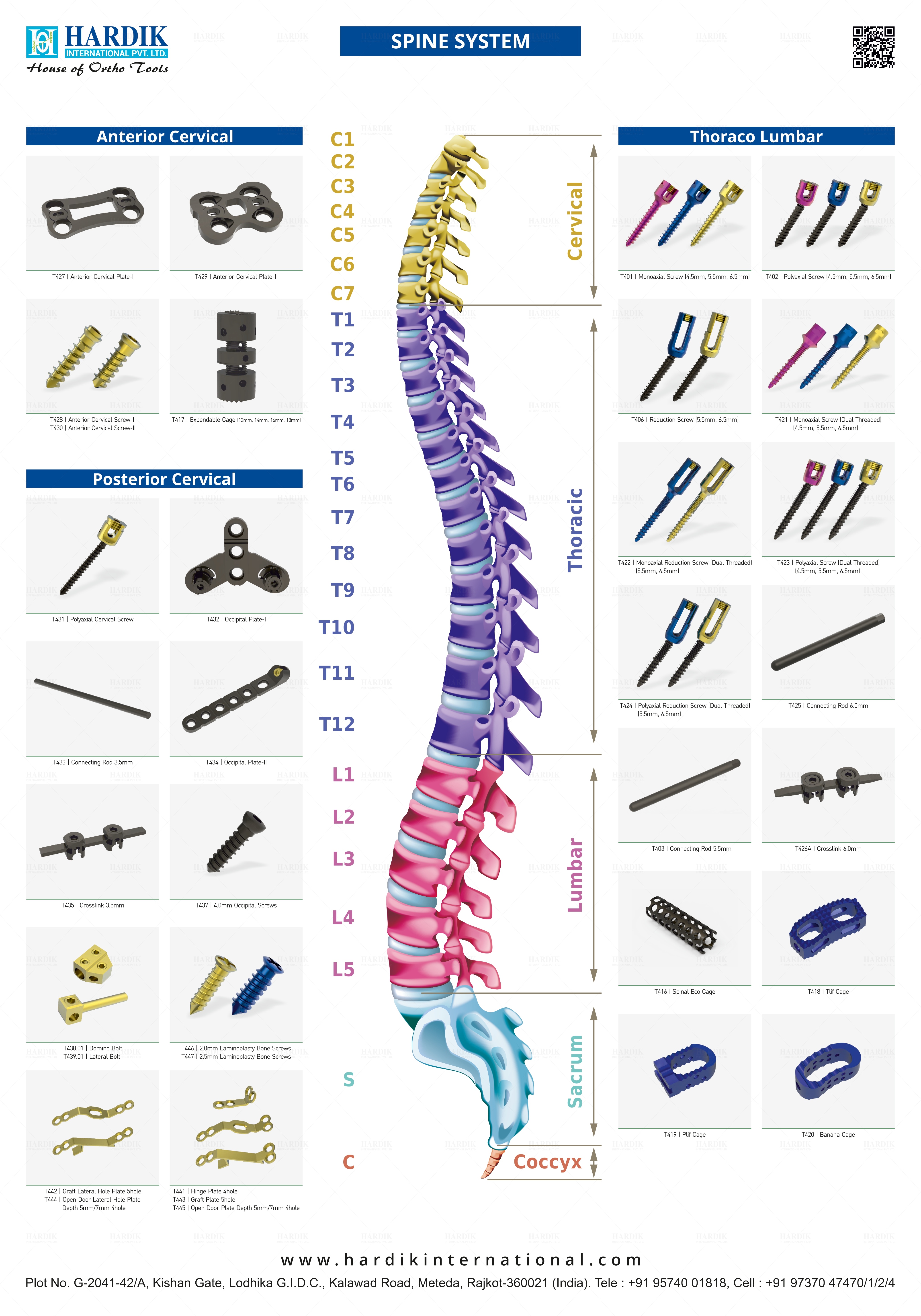 1787568303-6597-spine-anatomy.jpg