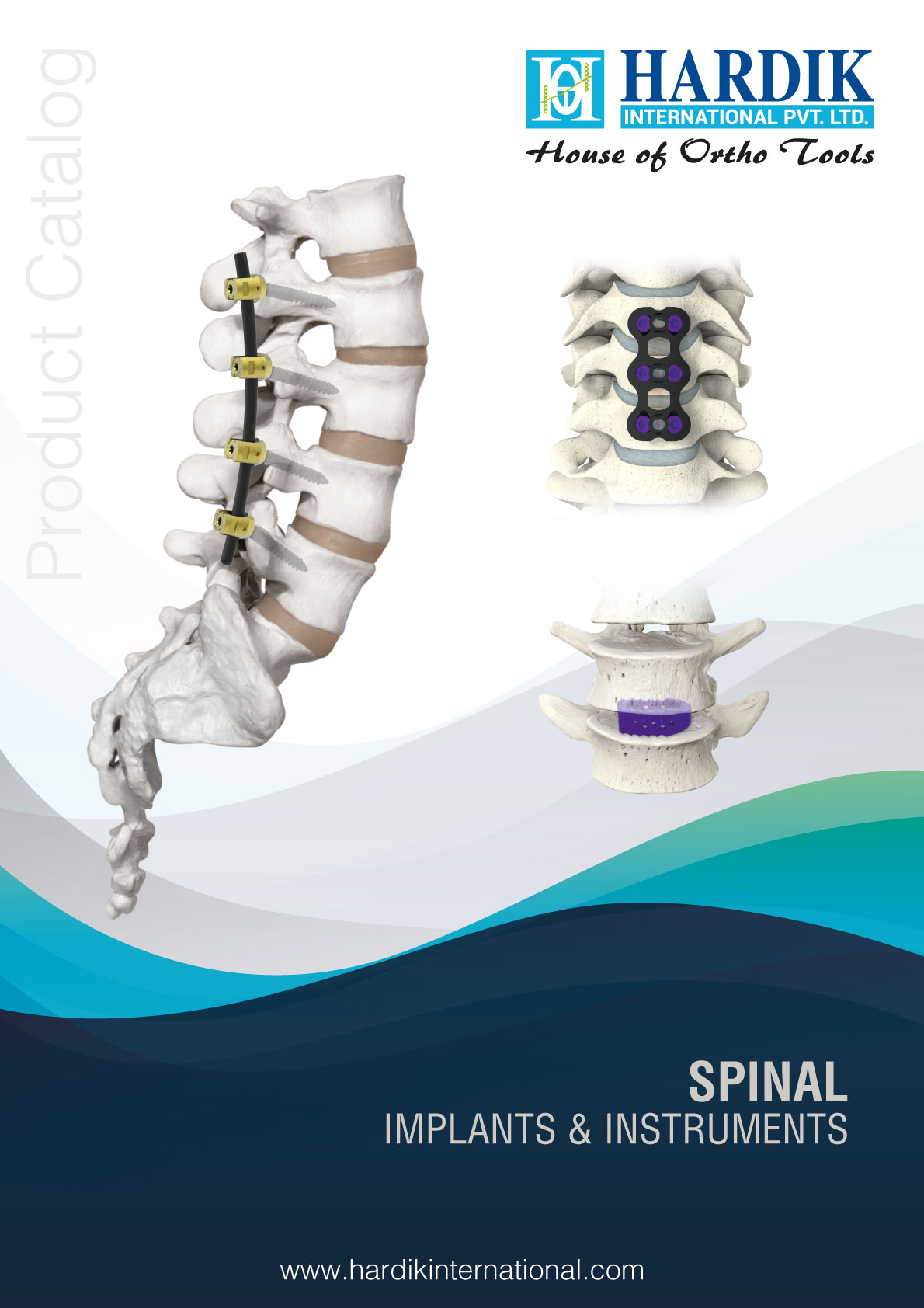 1787568683-7526-spinal.jpg